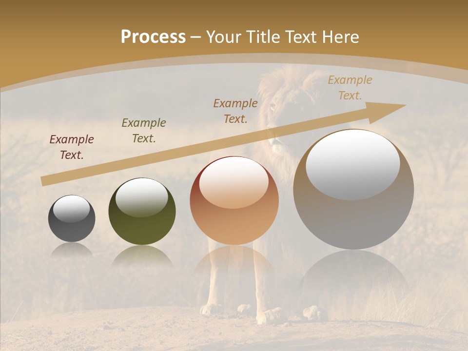 Environment Safari Backcountry PowerPoint Template