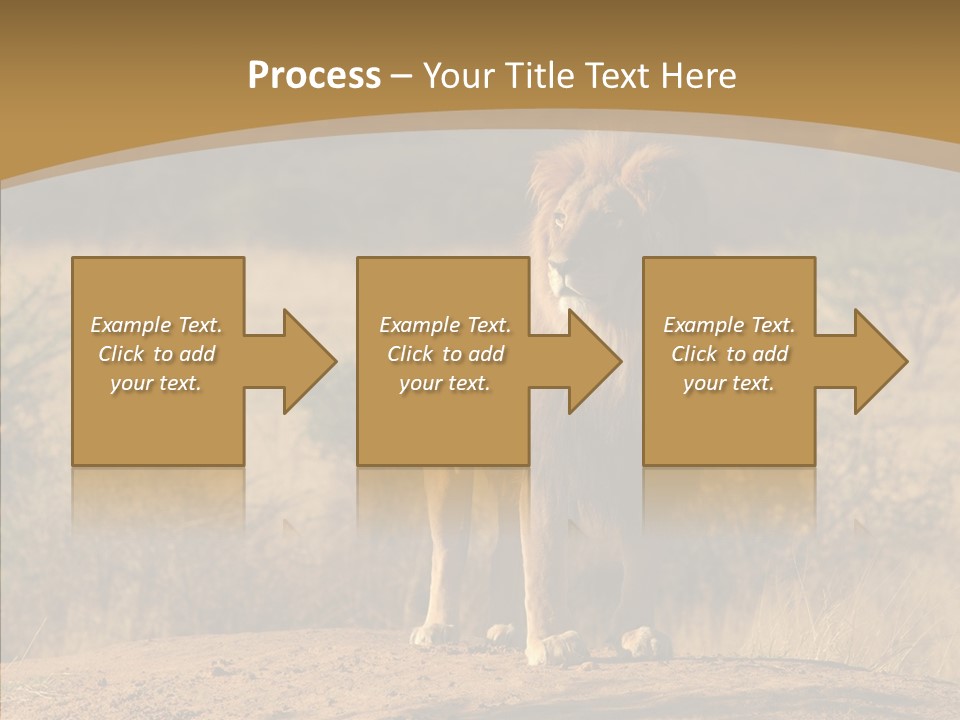 Environment Safari Backcountry PowerPoint Template