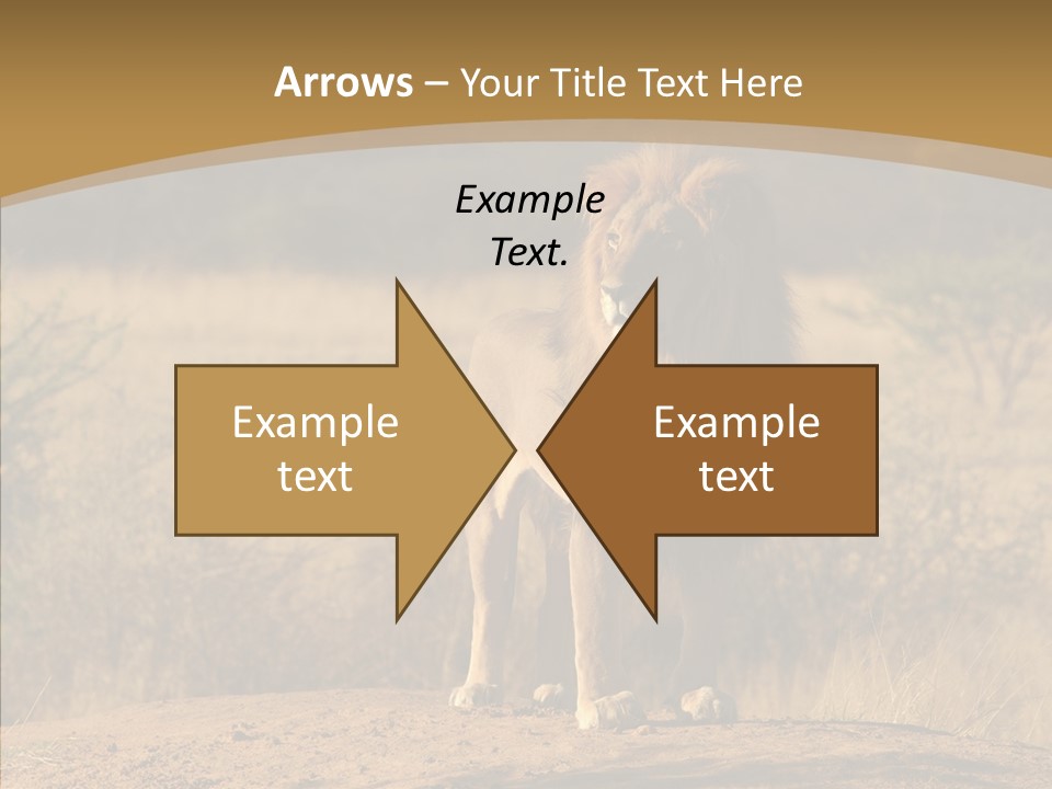 Environment Safari Backcountry PowerPoint Template