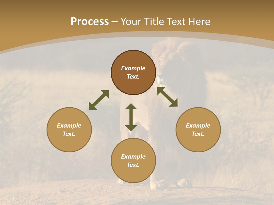 Environment Safari Backcountry PowerPoint Template