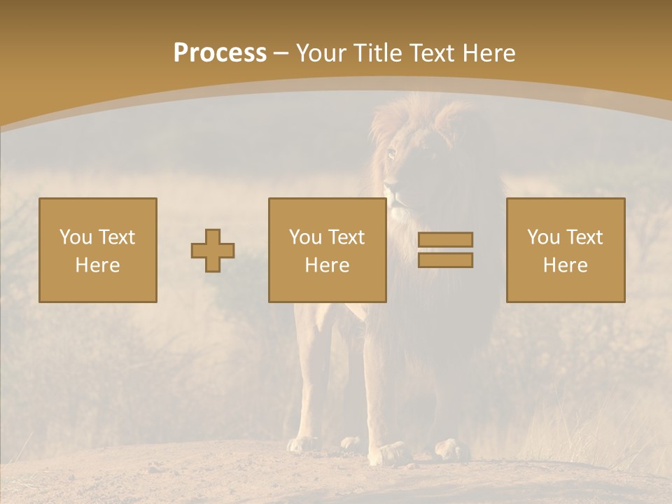 Environment Safari Backcountry PowerPoint Template