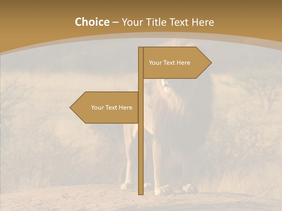 Environment Safari Backcountry PowerPoint Template