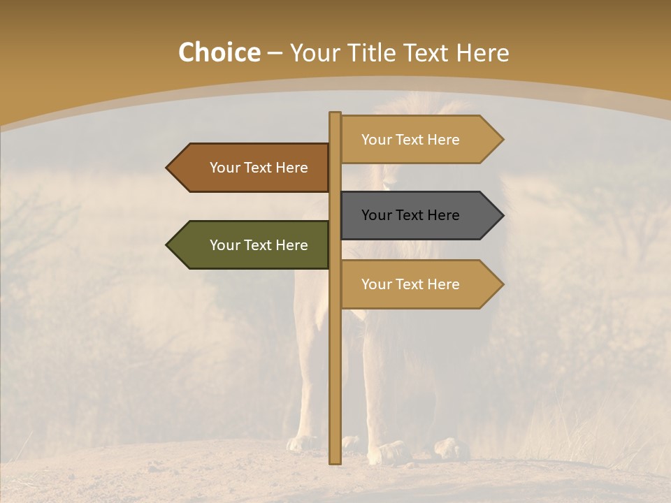 Environment Safari Backcountry PowerPoint Template