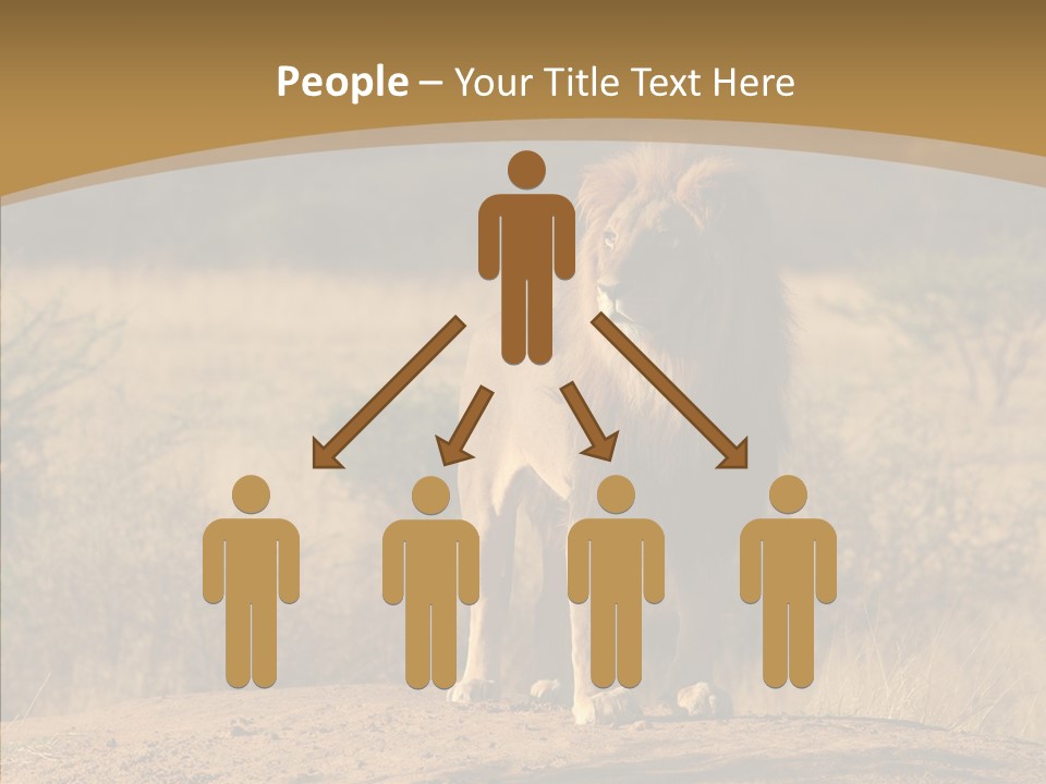 Environment Safari Backcountry PowerPoint Template
