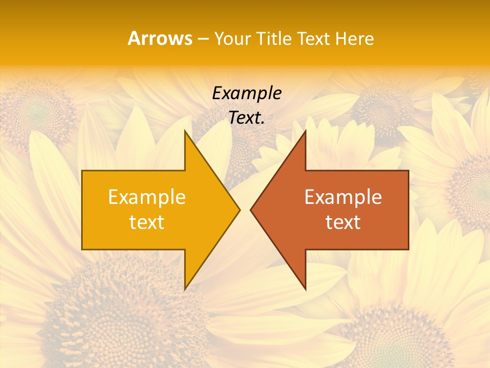 Details Colors Gardening PowerPoint Template