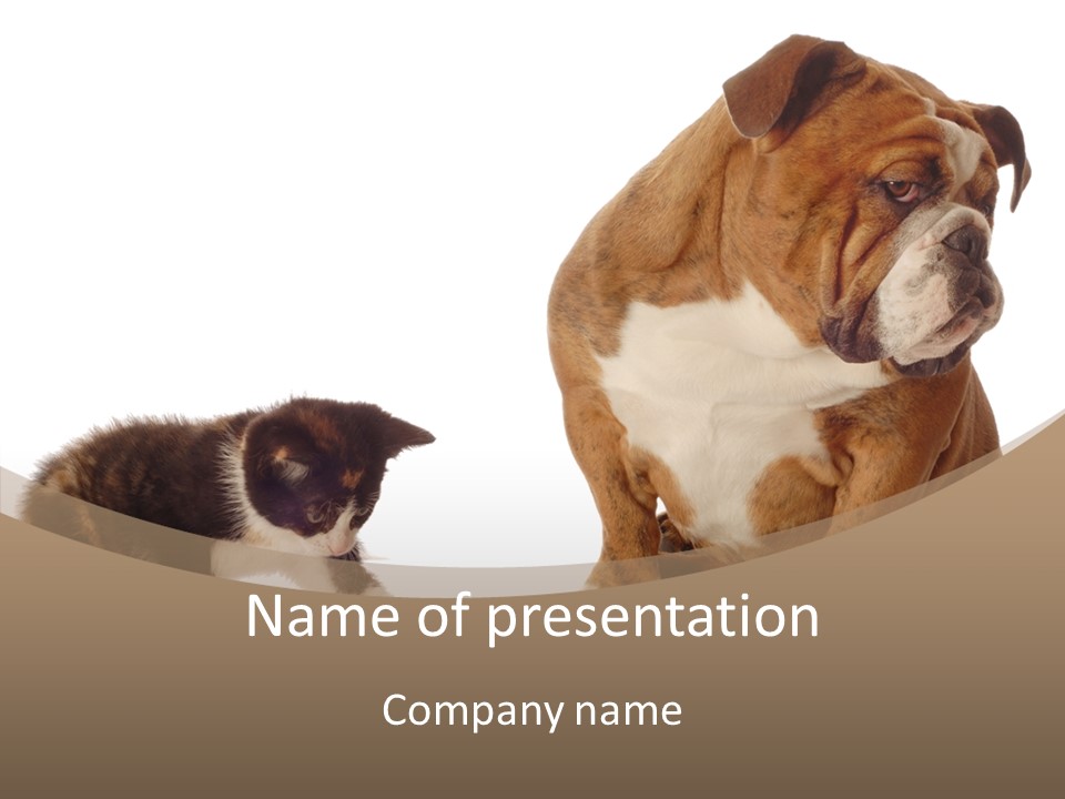 Animal Concept Puppy PowerPoint Template