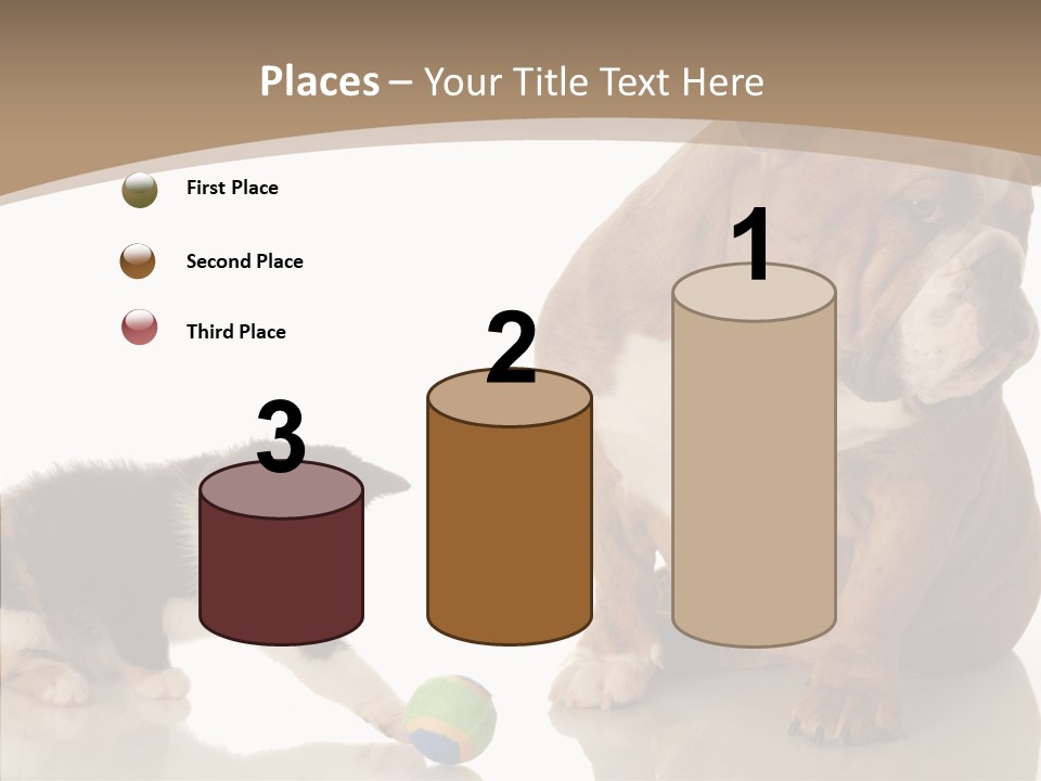 Animal Concept Puppy PowerPoint Template
