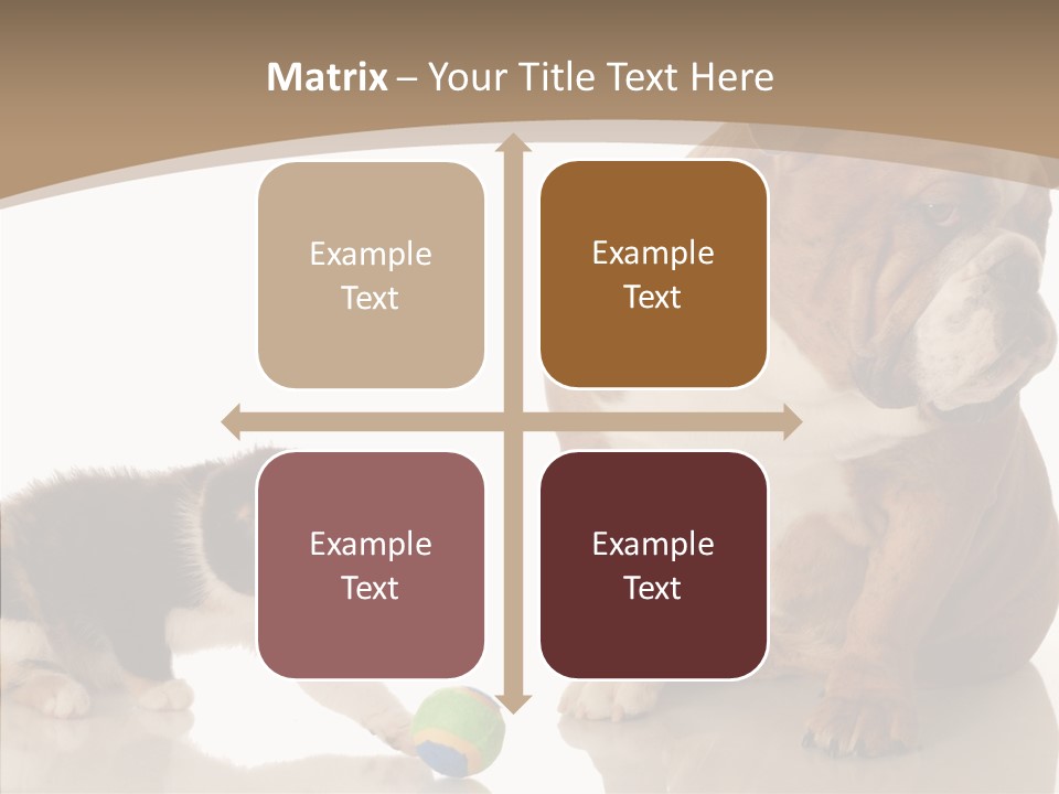 Animal Concept Puppy PowerPoint Template