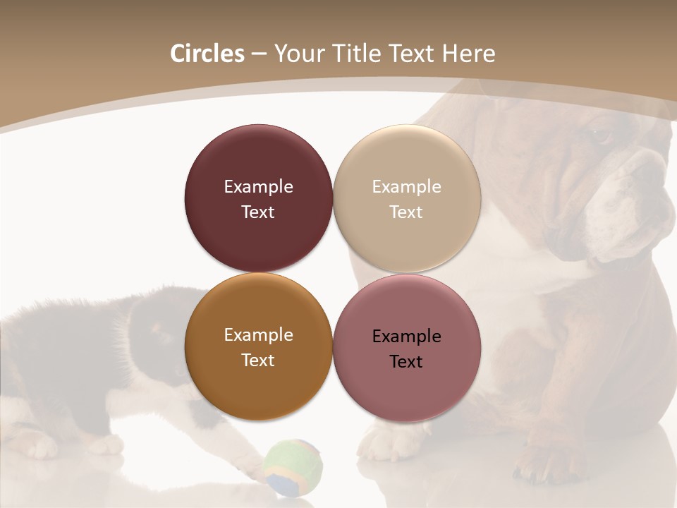 Animal Concept Puppy PowerPoint Template
