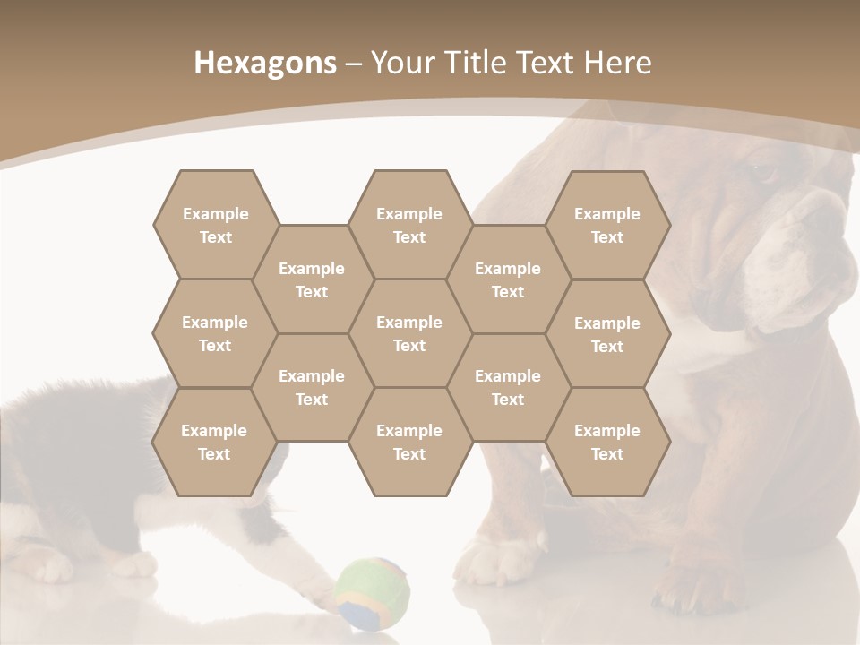 Animal Concept Puppy PowerPoint Template