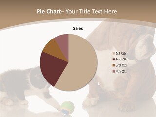 Animal Concept Puppy PowerPoint Template