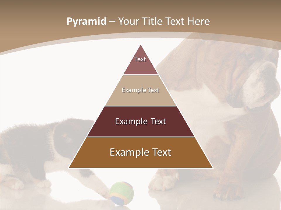 Animal Concept Puppy PowerPoint Template