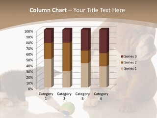 Animal Concept Puppy PowerPoint Template