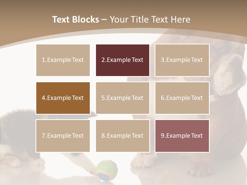 Animal Concept Puppy PowerPoint Template