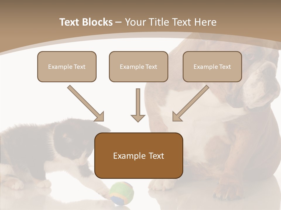 Animal Concept Puppy PowerPoint Template