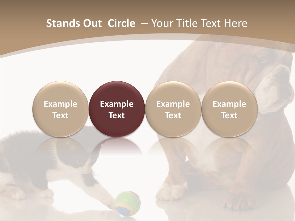 Animal Concept Puppy PowerPoint Template