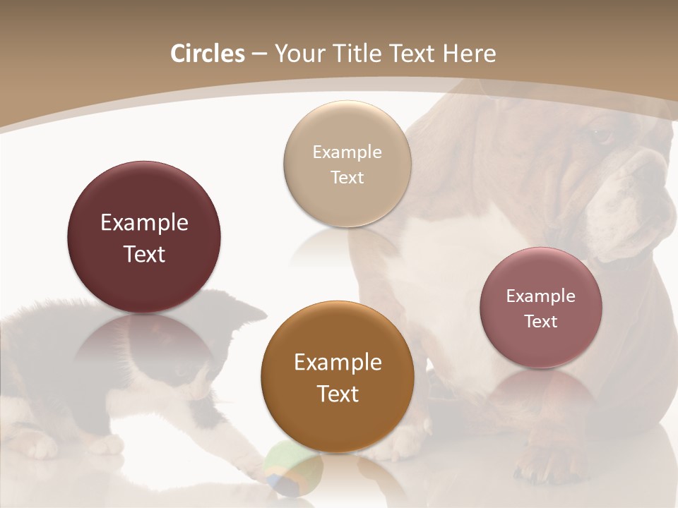 Animal Concept Puppy PowerPoint Template