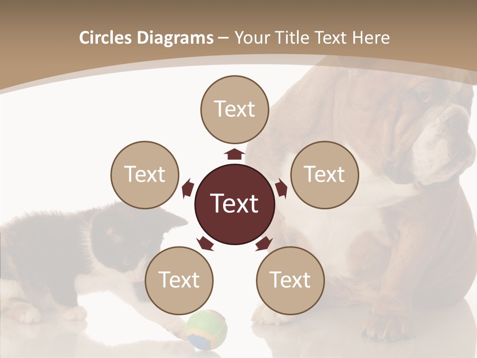 Animal Concept Puppy PowerPoint Template