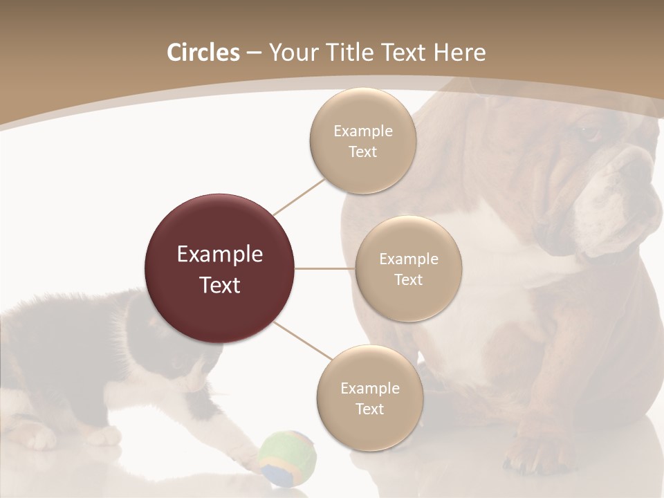 Animal Concept Puppy PowerPoint Template
