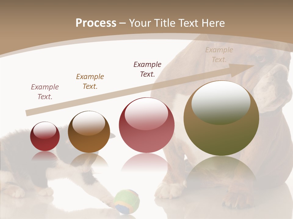 Animal Concept Puppy PowerPoint Template