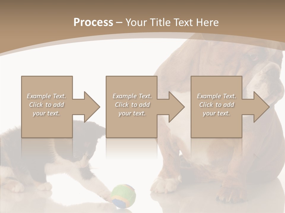 Animal Concept Puppy PowerPoint Template