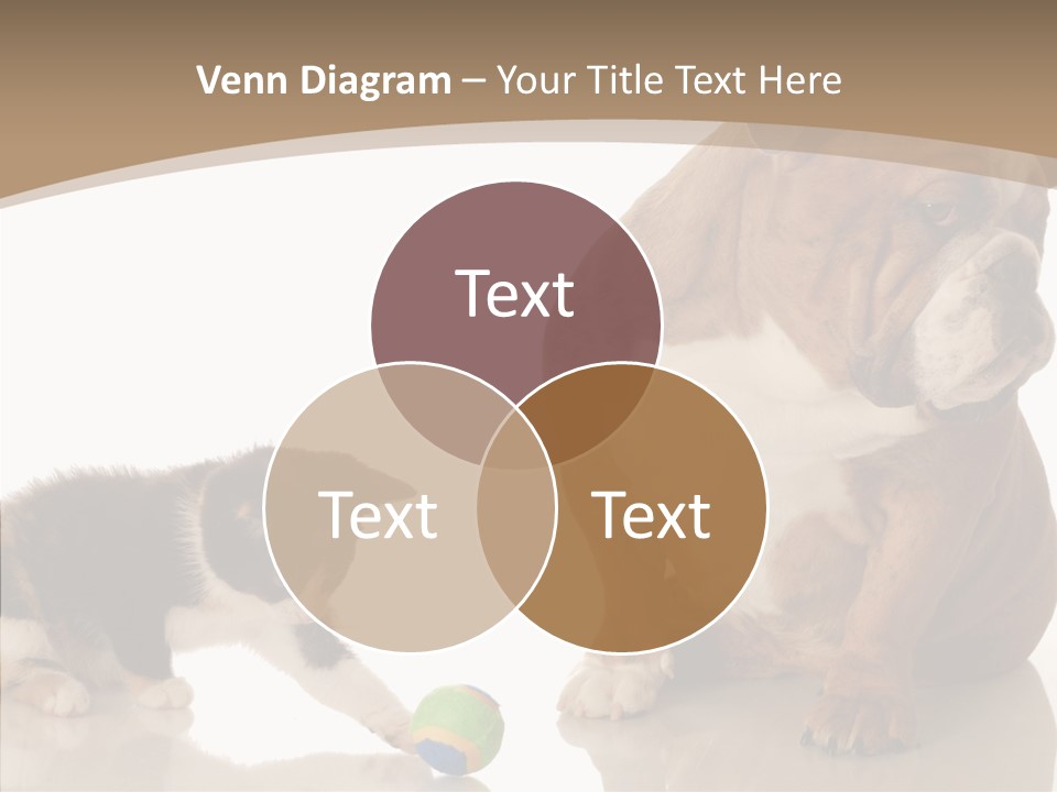 Animal Concept Puppy PowerPoint Template