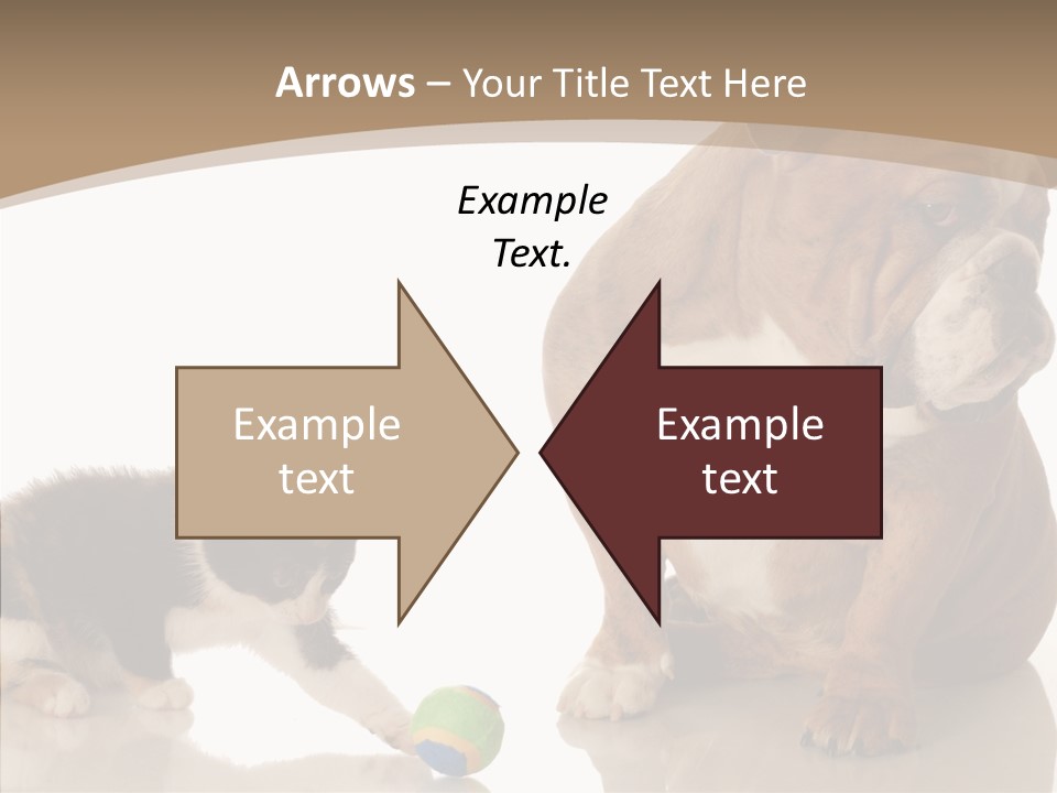 Animal Concept Puppy PowerPoint Template
