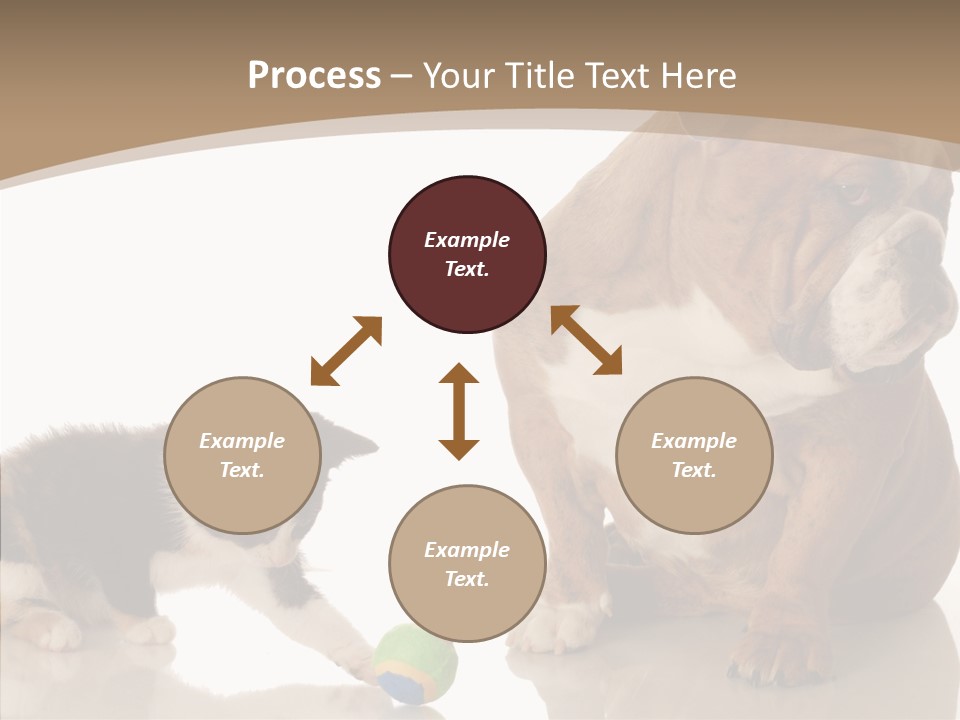 Animal Concept Puppy PowerPoint Template