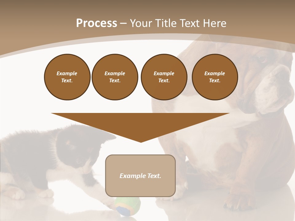 Animal Concept Puppy PowerPoint Template