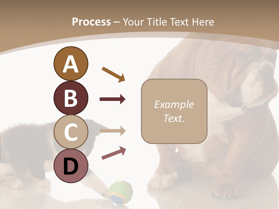 Animal Concept Puppy PowerPoint Template