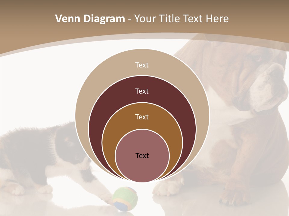 Animal Concept Puppy PowerPoint Template