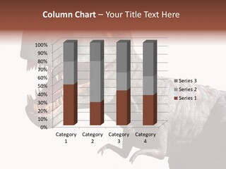 Human Trategy Company PowerPoint Template