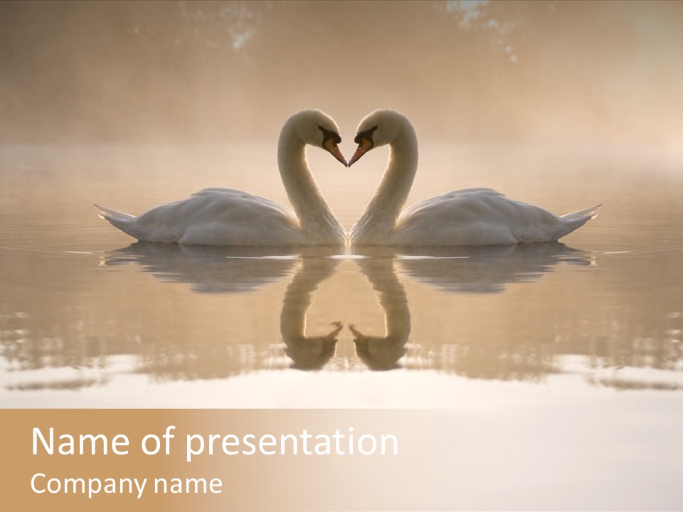 White Love Valentine PowerPoint Template