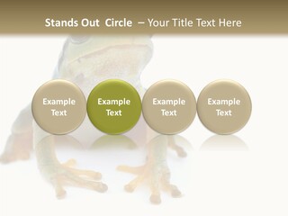 Teamwork Together Team PowerPoint Template