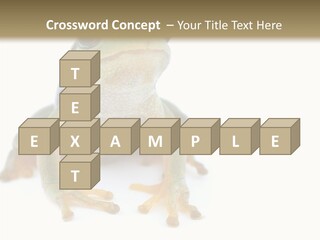 Teamwork Together Team PowerPoint Template