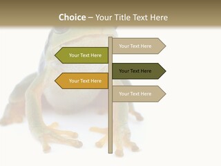 Teamwork Together Team PowerPoint Template