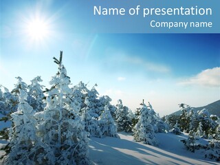 Park Freeze December PowerPoint Template