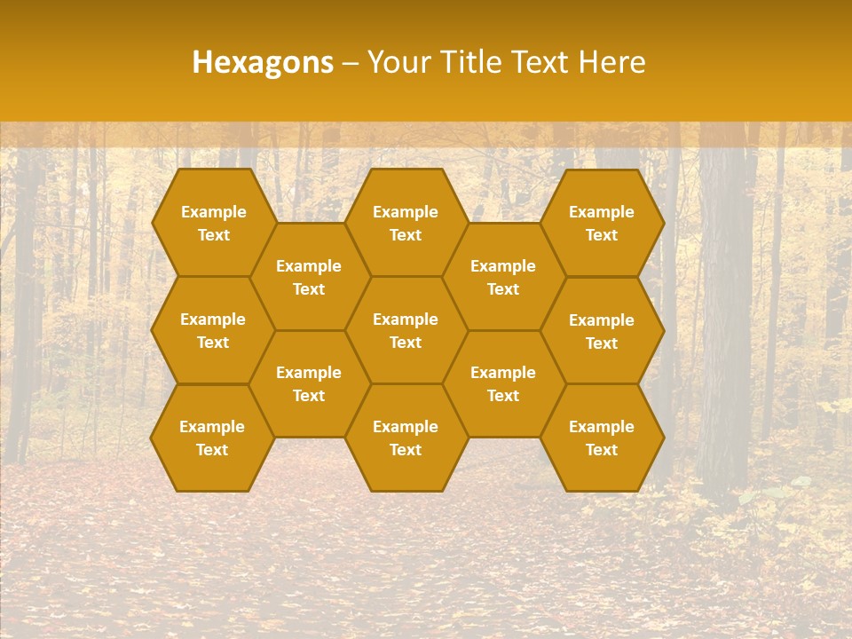 Walkway Trails Yellow PowerPoint Template