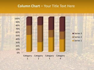 Walkway Trails Yellow PowerPoint Template