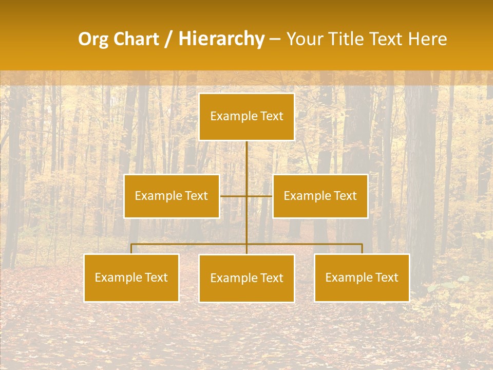 Walkway Trails Yellow PowerPoint Template