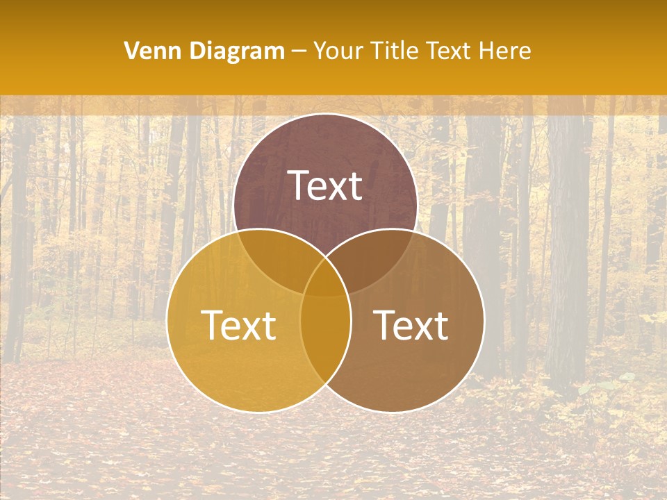 Walkway Trails Yellow PowerPoint Template