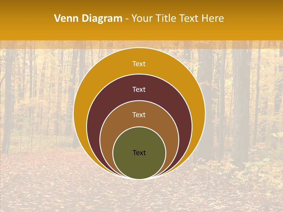 Walkway Trails Yellow PowerPoint Template