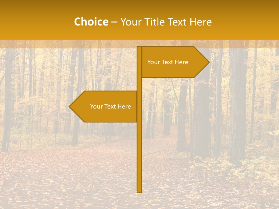 Walkway Trails Yellow PowerPoint Template