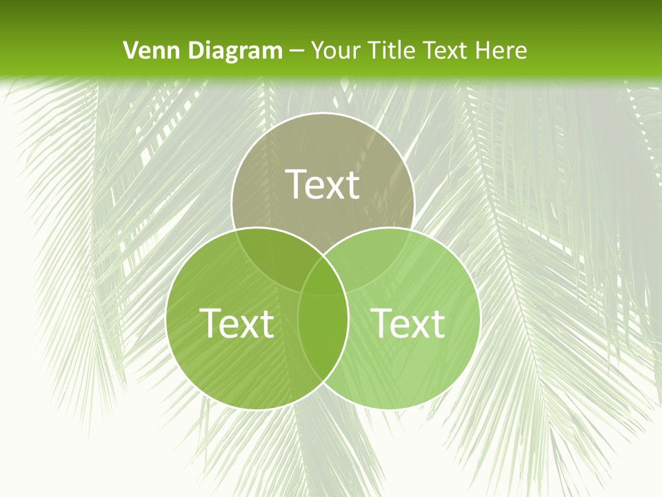 Tropical Monochrome Tree PowerPoint Template