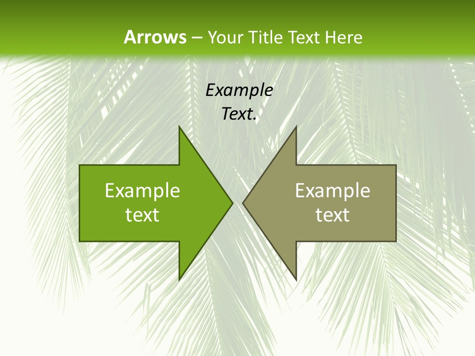 Tropical Monochrome Tree PowerPoint Template
