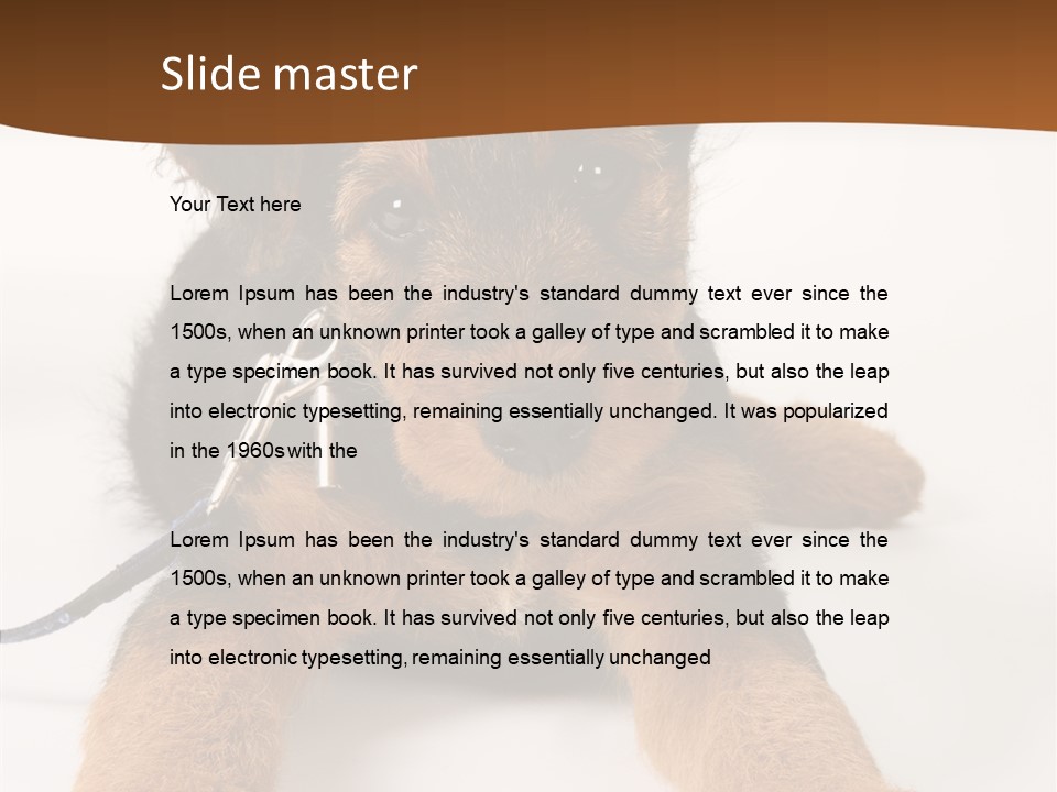 Breed Terrier Animal PowerPoint Template