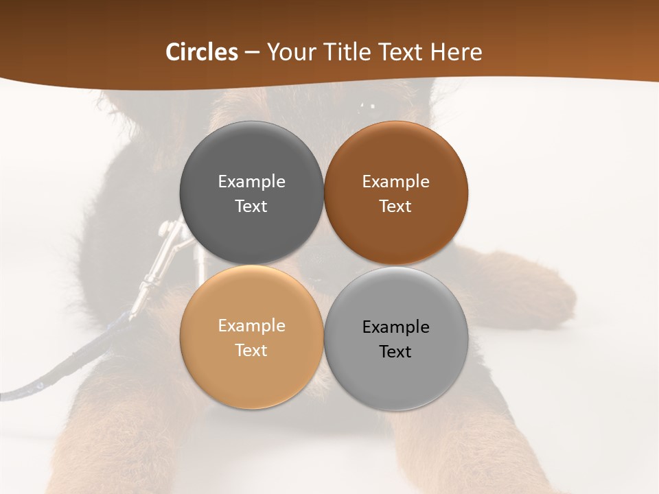 Breed Terrier Animal PowerPoint Template