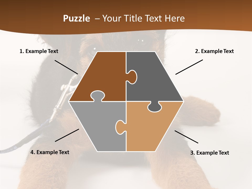 Breed Terrier Animal PowerPoint Template