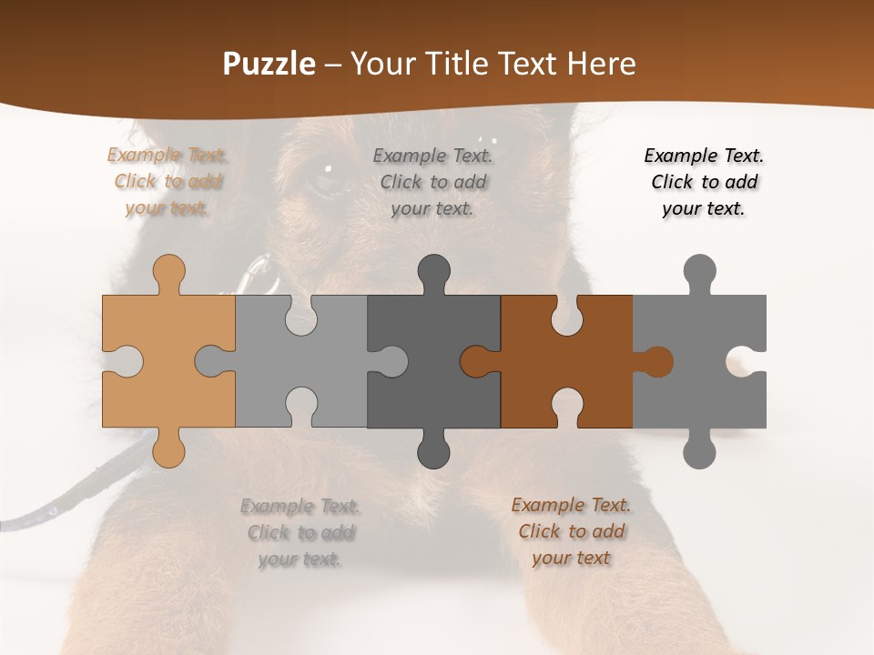 Breed Terrier Animal PowerPoint Template