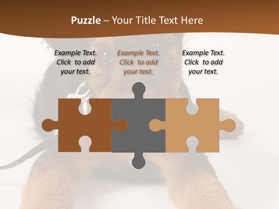 Breed Terrier Animal PowerPoint Template